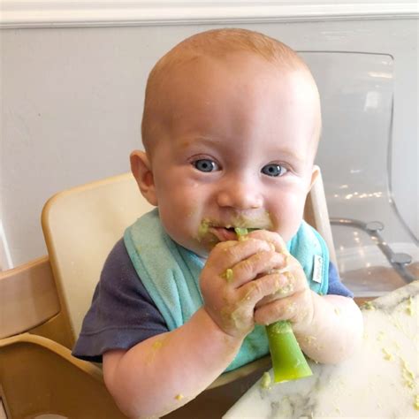 Soft and really easy for little hands to manage. Baby Food or Weaning-10+ Tips and Recipes For Moms - Mum ...