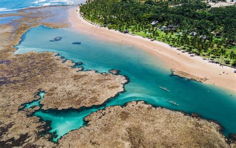 Paraíso na Bahia Veja fotos da península de Maraú destino turístico