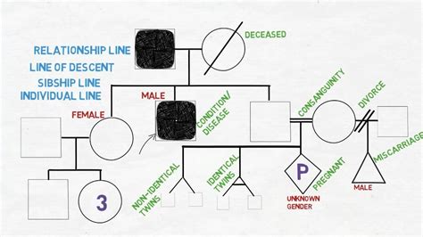 Maybe you would like to learn more about one of these? Drawing a Family Tree/Pedigree Diagram - Medical Genetics ...