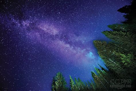 Milky Way Light Paintings Sliver Lake Caryn Esplin