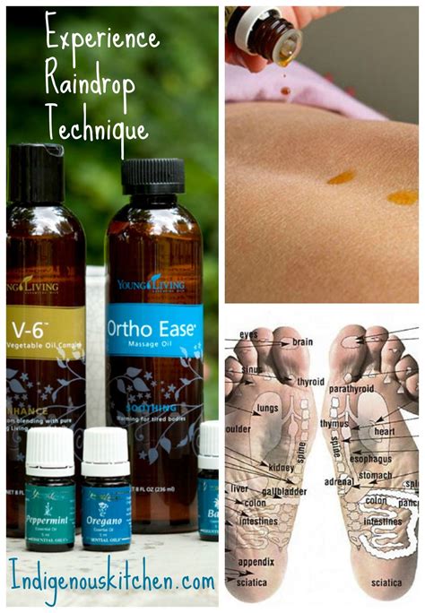 Raindrop Technique #crossstitchpatterns | Raindrop technique, Essential oils health, Massage 