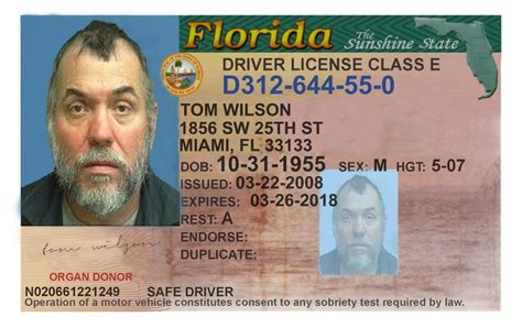 Blank Florida Drivers License Template Bestofil