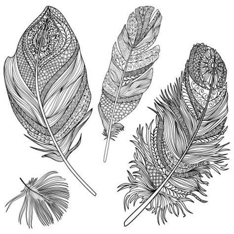 Bird Feather Coloring Pages