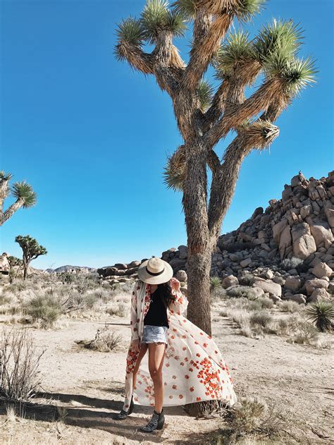 The Most Instagram Worthy Places In Palm Springs Guide Sabrina Tan