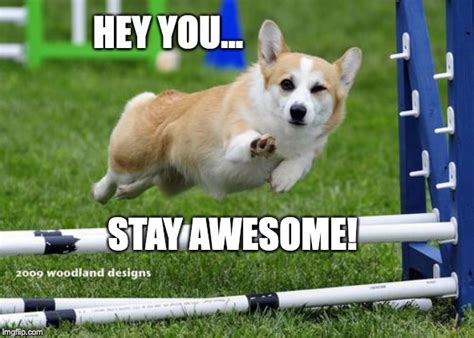 You Are Awesome Meme Captions Cute Viral