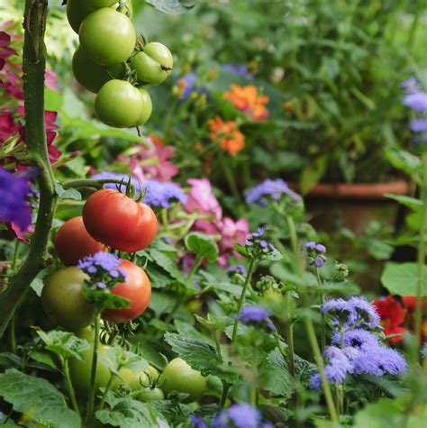 Check spelling or type a new query. Gardening Experts Say You Should Always Plant Flowers in ...