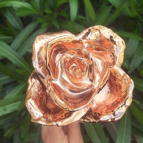 24k Rose Gold Dipped Rose A Real Rose Preserved In Gold