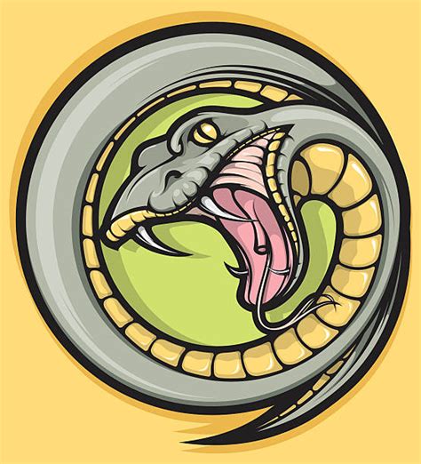 Snake With Fangs Pictures Illustrations Royalty Free Vector Graphics