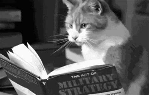 Cats Reading Books About Cats Worldwideinterweb