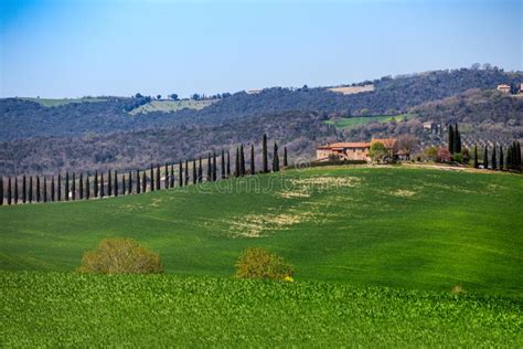 Typical Tuscan Landscape Editorial Stock Photo Image Of Agriculture