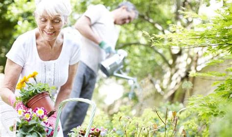 Benefits Of Gardening For Seniors And The Elderly Amico
