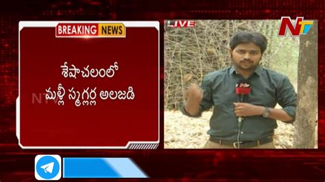Task Force Combing For Red Sander Smugglers In Seshachalam Forest Special Focus Ntv Youtube
