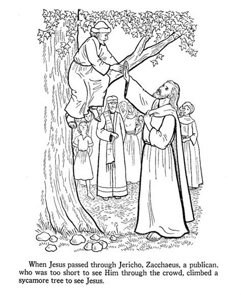 Are you searching for zacchaeus jesus colorpg htm new jesus and zacchaeus coloring page images? Zacchaeus coloring page | Sunday School | Pinterest