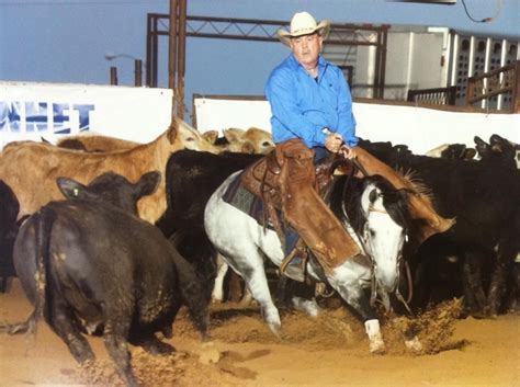 Visit www.highbrowcat.com for more info. AQHA Stallion - Own Son of High Brow Cat