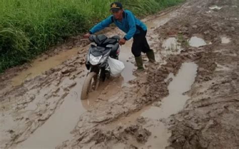 Duh Jalan Desa Di Mesuji Rusak Parah Becek Dan Berlumpur