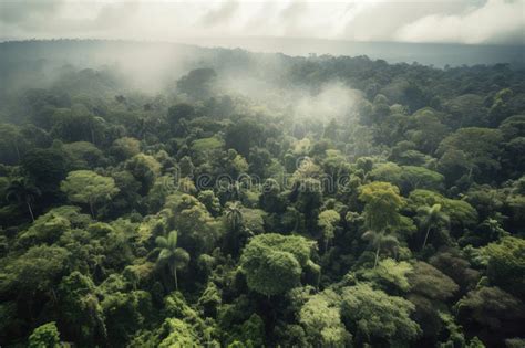 Aerial View Of The Amazonas Rainforests With Misty Clouds In The