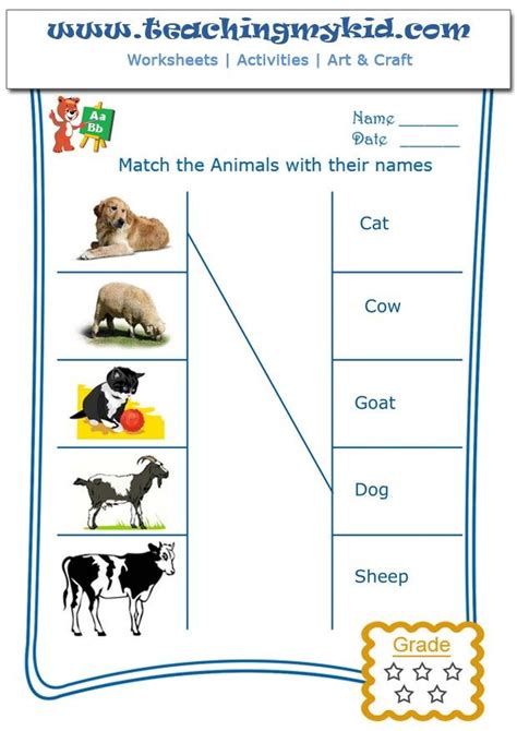Match The Domestic Animals With Their Names Worksheet 1 Worksheets