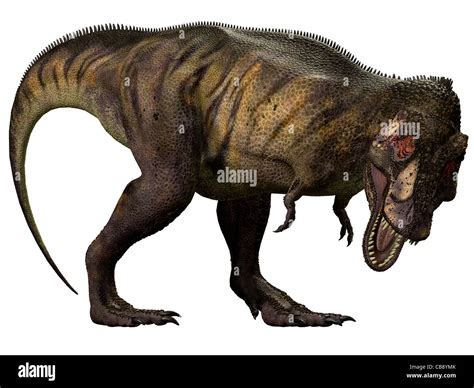 Tyrannosaurus Rex Or T Rex Stock Photo Alamy