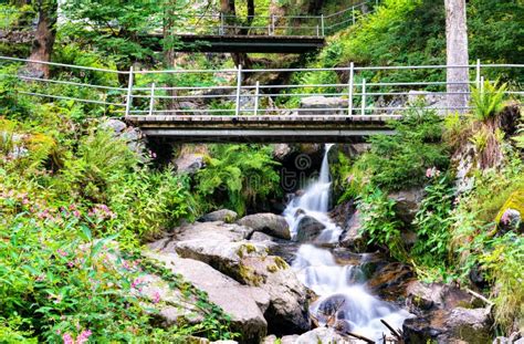 Todtnau Waterfall In The Black Forest Mountains Germany Stock Photo