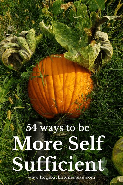 Are You Looking To Be More Self Sufficient Heres A Post With 54 Ways