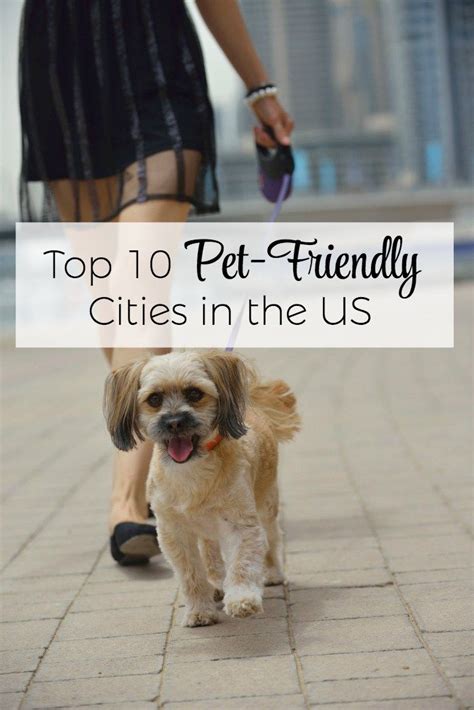 When the time comes to say goodbye, you're going to keeping your pet in the comfort of your own home is vital to your pets feeling safe and secure and it makes this difficult time a little easier for you as well. Top 10 Pet-Friendly Cities in the US for 2018 (With images ...