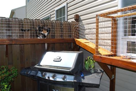 There are 28 cat outdoor enclosure for sale on etsy, and they cost $231.38 on average. DIY Cat TunnelDIY Show Off ™ - DIY Decorating and Home ...