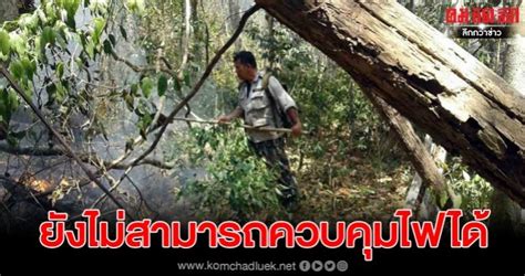 แต่ปัญหาคือ ในปัจจุบัน ไฟป่าไม่ได้ไหม้อยู่แค่ในบริเวณป่าเต็งรังเท่านั้น แต่ลุกลามเข้าไปสู่ป่าประเภทอื่น ๆ ที่ไม่ได้. ไฟไหม้ป่าในพื้นที่อุทยานแห่งชาติปางสีดาหลายจุด