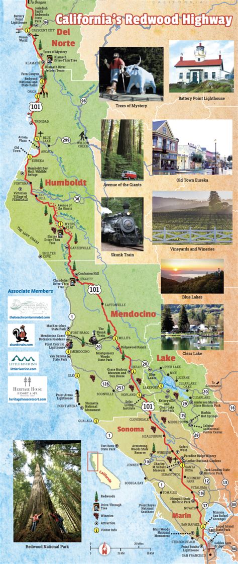 Californias Redwood Highway Is One Of The Most Scenic Drives In The