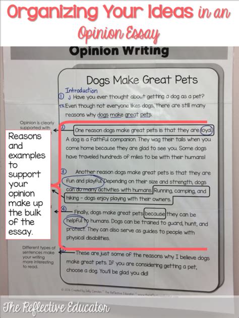 Write arguments to support students who can demonstrate understanding can: Opinion Writing ~ Reasons and Examples - The Reflective ...