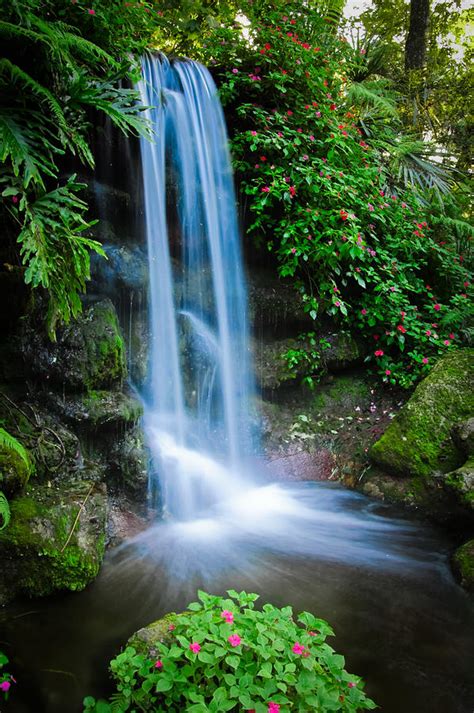 Rainbow Springs Waterfall Photograph By Rich Leighton