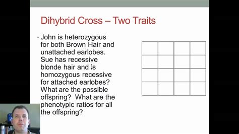 A dihybrid cross tracks two traits. How to Build Dihybrid Punnett Squares - YouTube