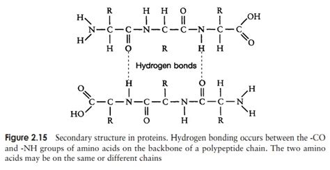Proteins Biomacromolecules