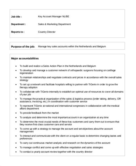 Free 7 Sample Account Manager Job Description Templates In Pdf