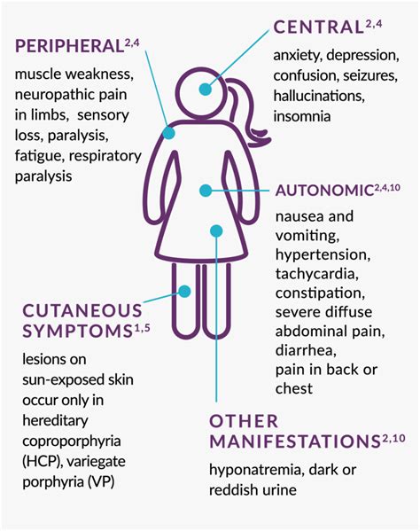 Acute Hepatic Porphyria Symptoms Illustration Hd Png Download Kindpng