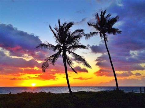 We did not find results for: cabin outside - Picture of Hapuna Beach, Kohala Coast ...