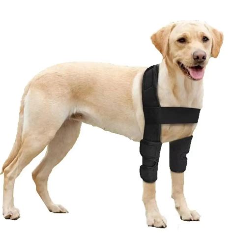 Pet Dog Leg Brace Leg Support Dogs Recovery Sleeve Protective Cover Pet