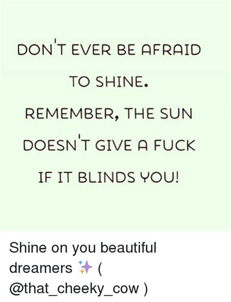 don t ever be afraid to shine remember the sun doesn t give a fuck if it blinds you shine on
