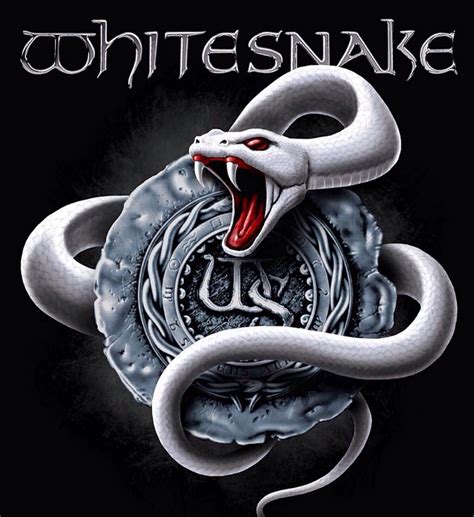 Pin By Justin Starr On Whitesnake Rock Band Posters Rock Album