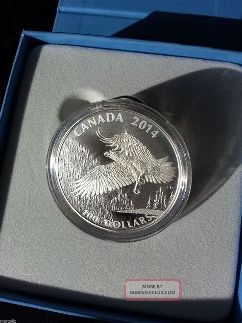 2014 Canada The Majestic Bald Eagle 100 00 Fine Silver Coin Matte Proof