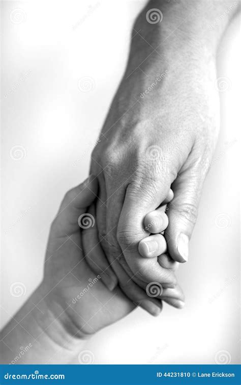 Holding Child Hand Stock Photo Image Of Caucasian Close 44231810
