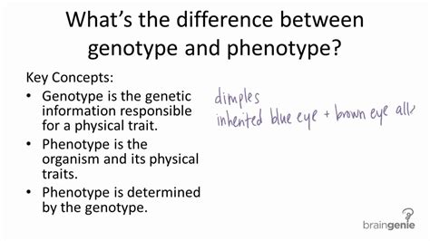 913 Genotype V Phenotype Youtube