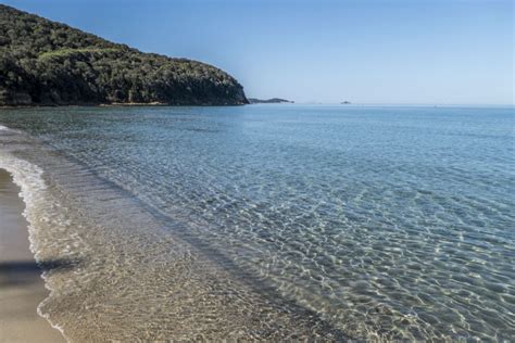 Tra le spiagge a 5 vele segnaliamo il litorale di baunei, la maremma toscana, il litorale di chia, il cilento antico, la costa d'argento e isola del giglio, la gallura costiera e l'area marina protetta di capo testa. Mappa Costa Toscana Spiagge - Mappa Del Mare Piu Inquinato Della Toscana Goletta Verde 2021