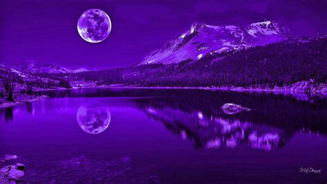 Purple Nights Reflection wallpaper | other | Wallpaper Better