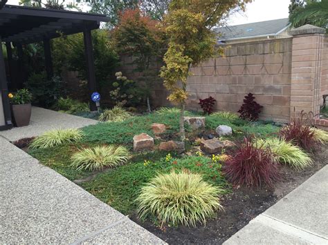 Drought Tolerant Yard With Grasses And Low Ground Cover Ground Cover