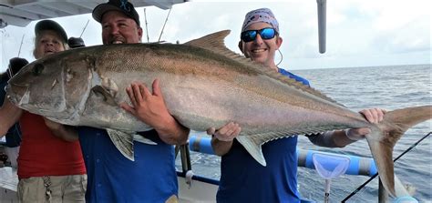 Huge Amberjack Fight — Florida Sportsman