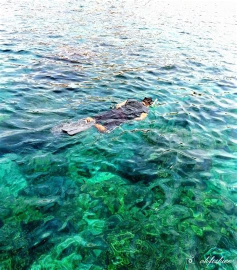 At laguna redang island resort, guests can indulge in a pampering massage or enjoy activities such as hiking, diving and snorkelling. oh{FISH}iee: Snorkelling at Laguna Redang Island and ...