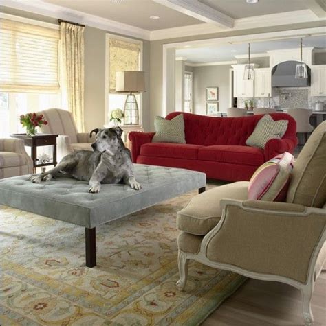 Choosing Pet Friendly Furniture For Your Interiors Contemporary