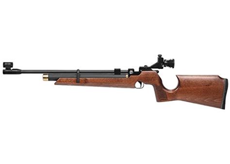 Best Competition Air Rifles Review 2019 Options Air Rifle Pro