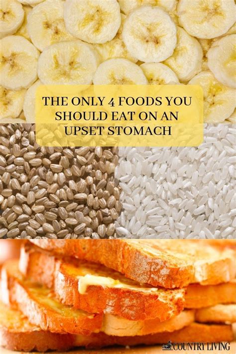 She also on a bland diet by prescription also highly digestible. The only 4 foods you should eat when you have an upset ...