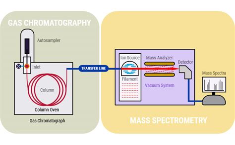 Gas Chromatography Mass Spectrometry Diagram